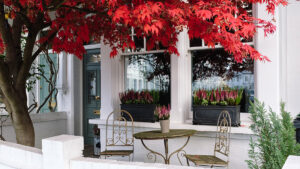 Residential Property Review – October 2025